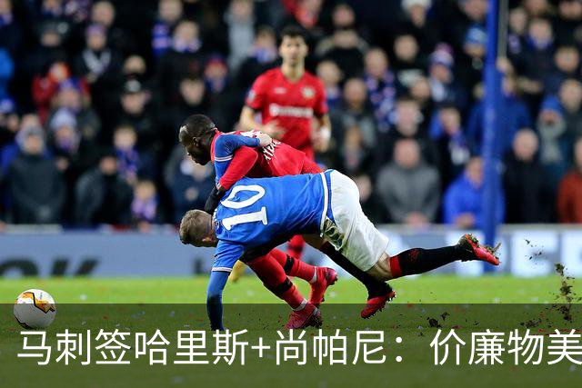马刺签哈里斯+尚帕尼：价廉物美